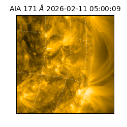 saia - 2026-02-11T05:00:09.342000