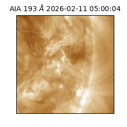 saia - 2026-02-11T05:00:04.835000