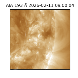 saia - 2026-02-11T09:00:04.842000