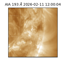 saia - 2026-02-11T12:00:04.843000