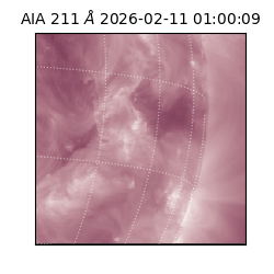 saia - 2026-02-11T01:00:09.626000