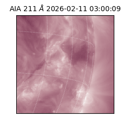 saia - 2026-02-11T03:00:09.626000