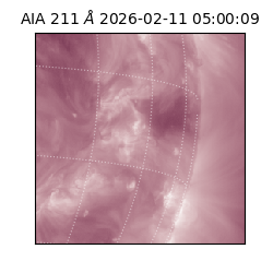 saia - 2026-02-11T05:00:09.633000