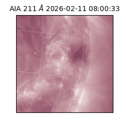 saia - 2026-02-11T08:00:33.626000