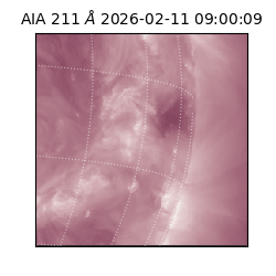 saia - 2026-02-11T09:00:09.622000