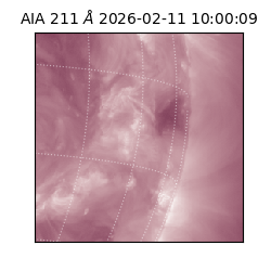 saia - 2026-02-11T10:00:09.626000