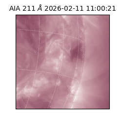 saia - 2026-02-11T11:00:21.618000