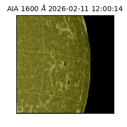 saia - 2026-02-11T12:00:14.125000