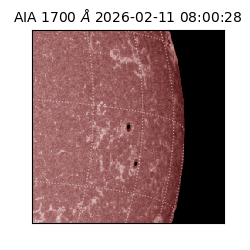 saia - 2026-02-11T08:00:28.717000