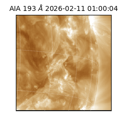 saia - 2026-02-11T01:00:04.843000