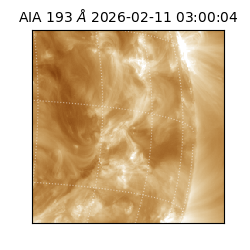 saia - 2026-02-11T03:00:04.843000