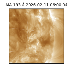 saia - 2026-02-11T06:00:04.835000