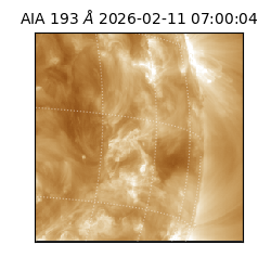 saia - 2026-02-11T07:00:04.835000