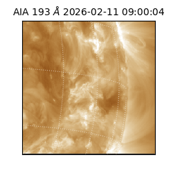 saia - 2026-02-11T09:00:04.842000