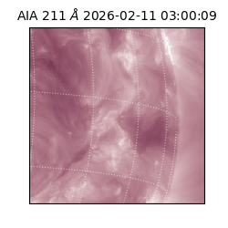 saia - 2026-02-11T03:00:09.626000