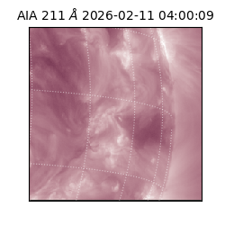 saia - 2026-02-11T04:00:09.631000