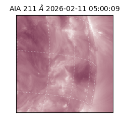 saia - 2026-02-11T05:00:09.633000