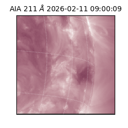 saia - 2026-02-11T09:00:09.622000