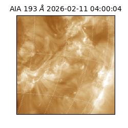 saia - 2026-02-11T04:00:04.846000