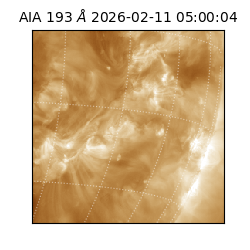 saia - 2026-02-11T05:00:04.835000