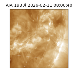 saia - 2026-02-11T08:00:40.843000