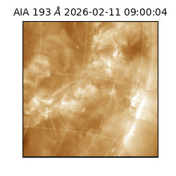 saia - 2026-02-11T09:00:04.842000