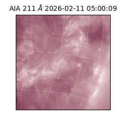 saia - 2026-02-11T05:00:09.633000