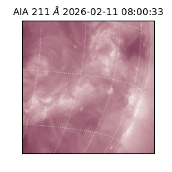 saia - 2026-02-11T08:00:33.626000