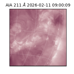 saia - 2026-02-11T09:00:09.622000