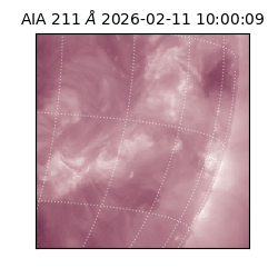 saia - 2026-02-11T10:00:09.626000