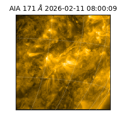 saia - 2026-02-11T08:00:09.353000