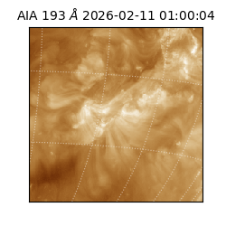 saia - 2026-02-11T01:00:04.843000