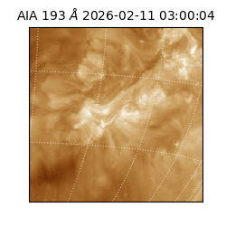 saia - 2026-02-11T03:00:04.843000