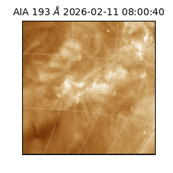 saia - 2026-02-11T08:00:40.843000