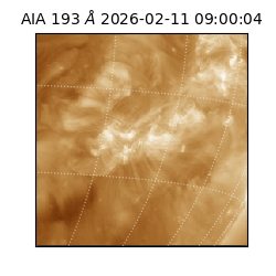 saia - 2026-02-11T09:00:04.842000