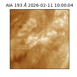 saia - 2026-02-11T10:00:04.843000