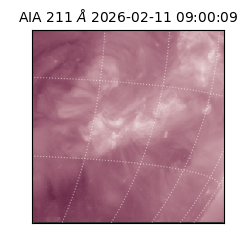 saia - 2026-02-11T09:00:09.622000