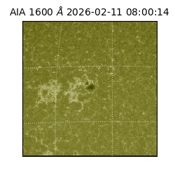 saia - 2026-02-11T08:00:14.133000