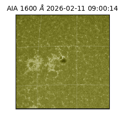 saia - 2026-02-11T09:00:14.133000