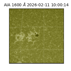 saia - 2026-02-11T10:00:14.129000