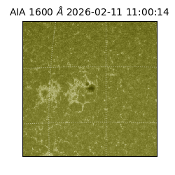 saia - 2026-02-11T11:00:14.126000