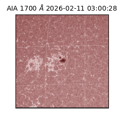 saia - 2026-02-11T03:00:28.709000