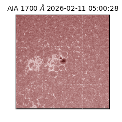 saia - 2026-02-11T05:00:28.713000