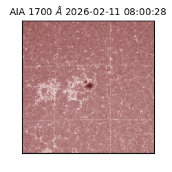 saia - 2026-02-11T08:00:28.717000