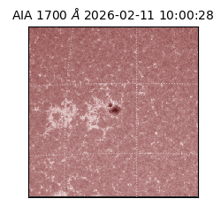 saia - 2026-02-11T10:00:28.717000