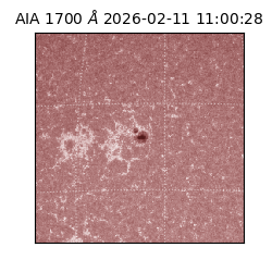 saia - 2026-02-11T11:00:28.717000