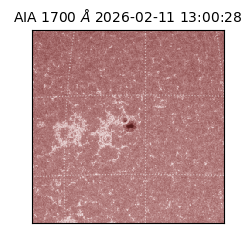 saia - 2026-02-11T13:00:28.717000