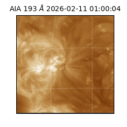 saia - 2026-02-11T01:00:04.843000