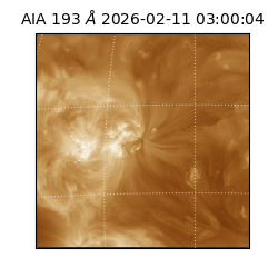 saia - 2026-02-11T03:00:04.843000