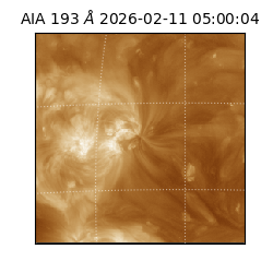 saia - 2026-02-11T05:00:04.835000